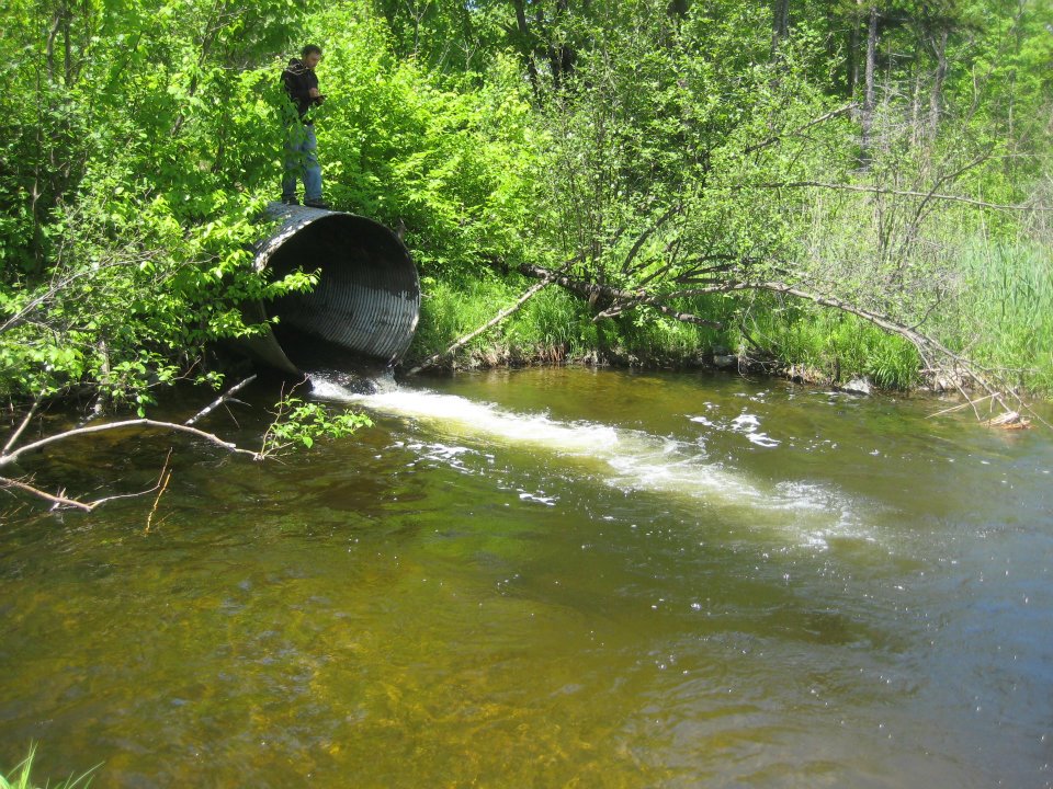 Culvert Picture