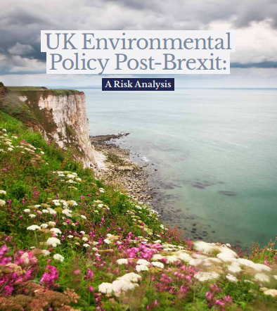 FOE POST-BREXIT REPORT