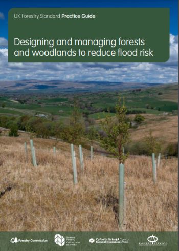 FORESTRY_GUIDE_-_woodland_natural_flood_management.jpg
