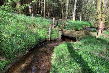 NATURAL FLOOD MANAGEMENT Dorking Leaky Dam Surrey Hills