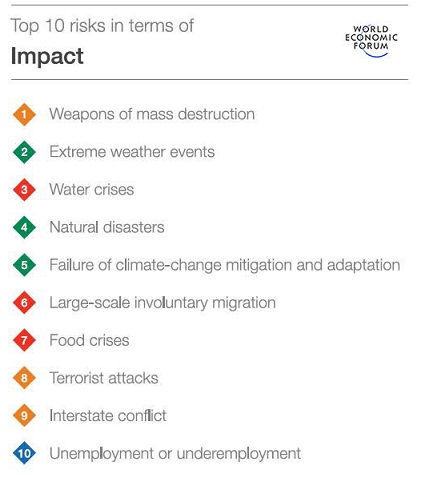 WEF risks 2017