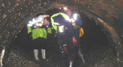 zebra_mussels_press-release-spine-tunnel_main_pic