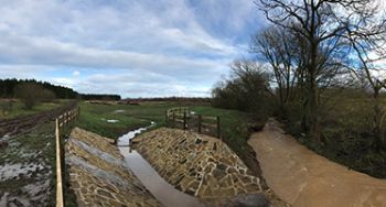 Natural_flood_management_-_coatham_woods_1.jpg