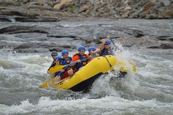 RAPID 1