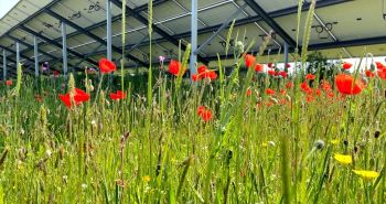 SCOTTISH WATER BIODIVERSITY SCHEME AT GAILES WASTEWATER PUMPING STATION SOLAR SCHEME