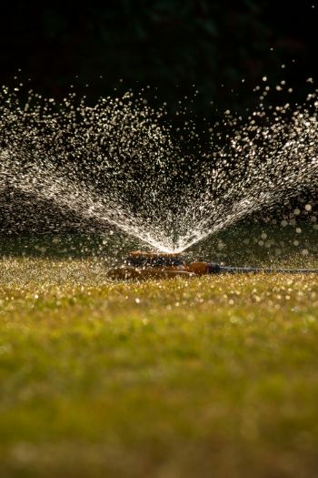 SPRINKLER GRASS